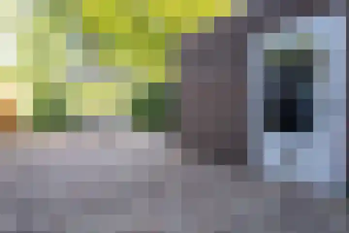 Hierdense beek 13 Tilburg thumbnail 23