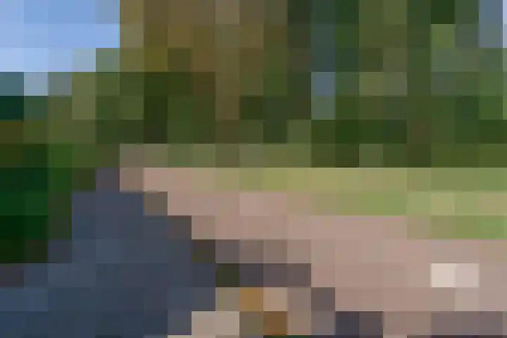Hierdense beek 13 Tilburg thumbnail 26