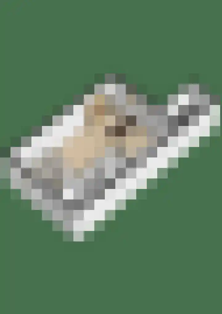 Hierdense beek 13 Tilburg thumbnail 31