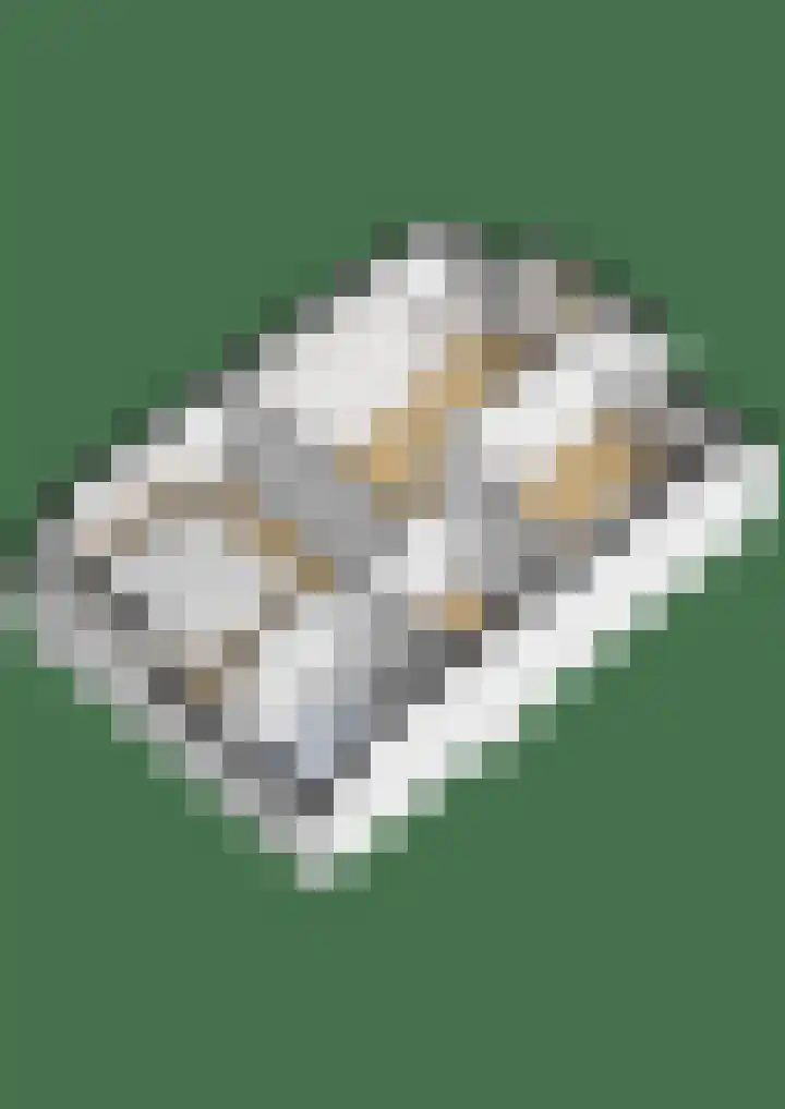 Hierdense beek 13 Tilburg thumbnail 33