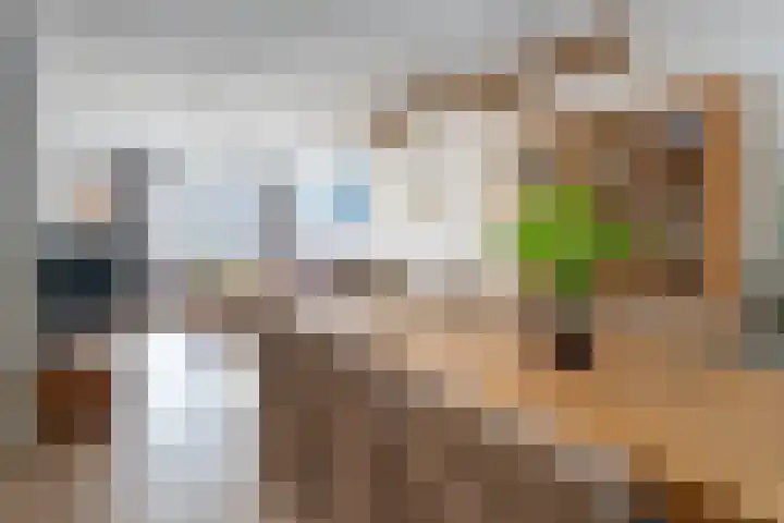 Hierdense beek 13 Tilburg thumbnail 8