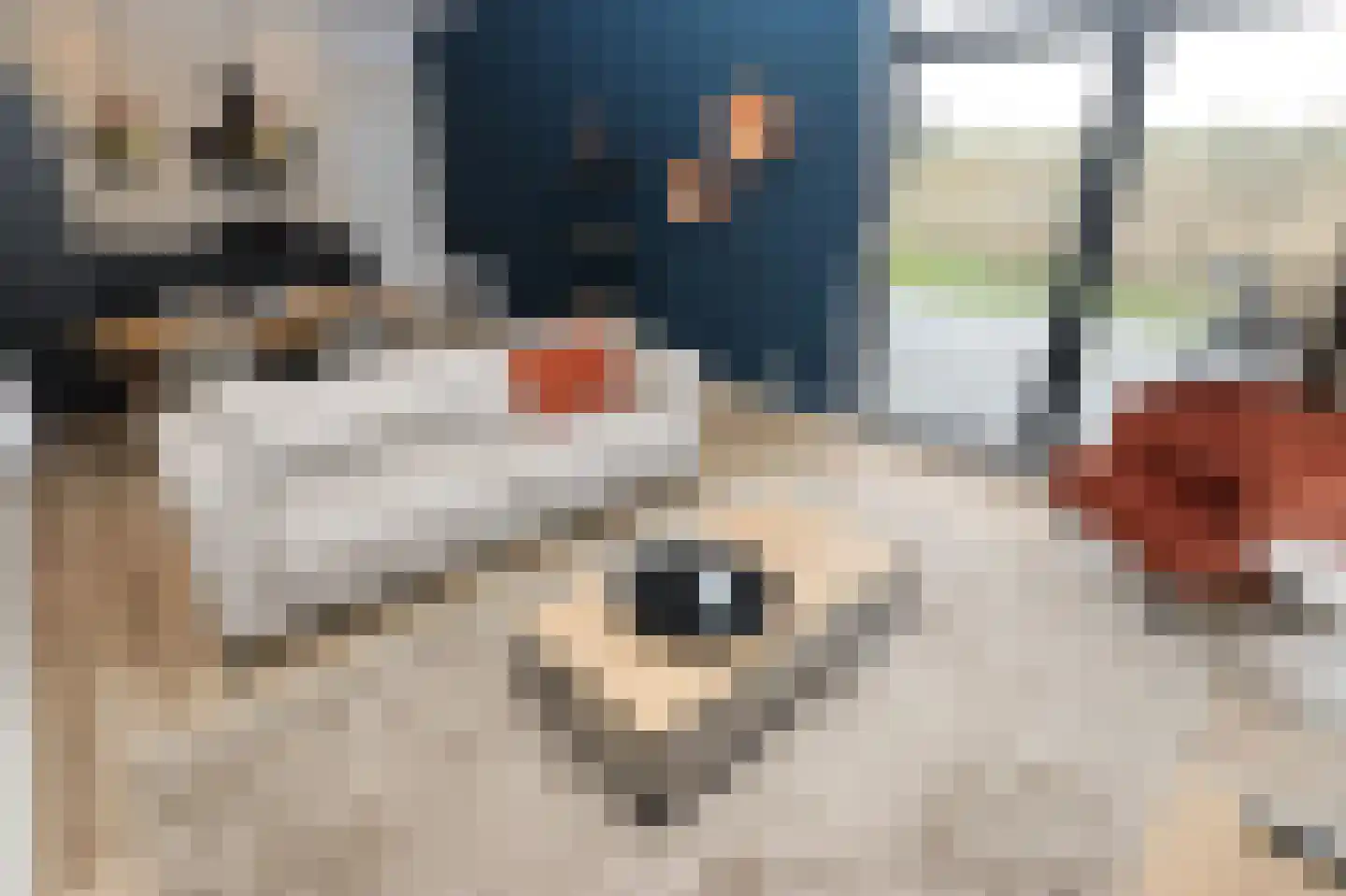 Hierdense beek 137 Biddinghuizen thumbnail 11