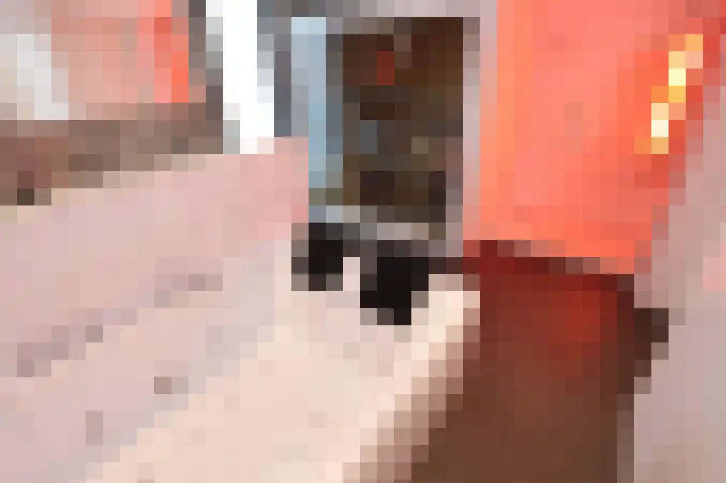 Hierdense beek 137 Biddinghuizen thumbnail 17