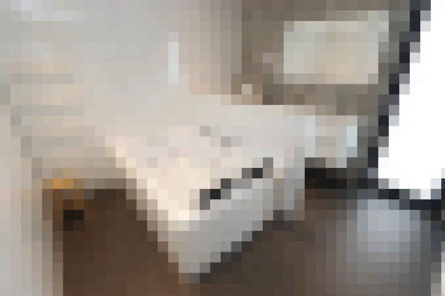 Hierdense beek 137 Biddinghuizen thumbnail 18