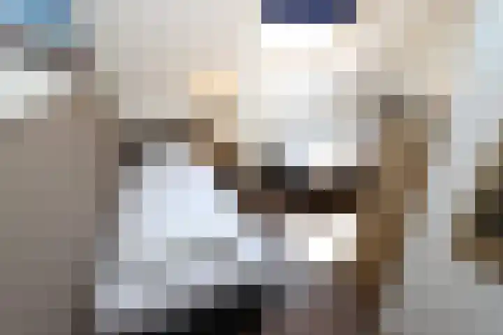 Hierdense beek 173 Biddinghuizen thumbnail 16