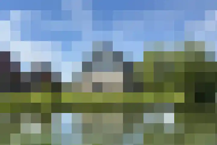 Hierdense beek 173 Biddinghuizen thumbnail 36