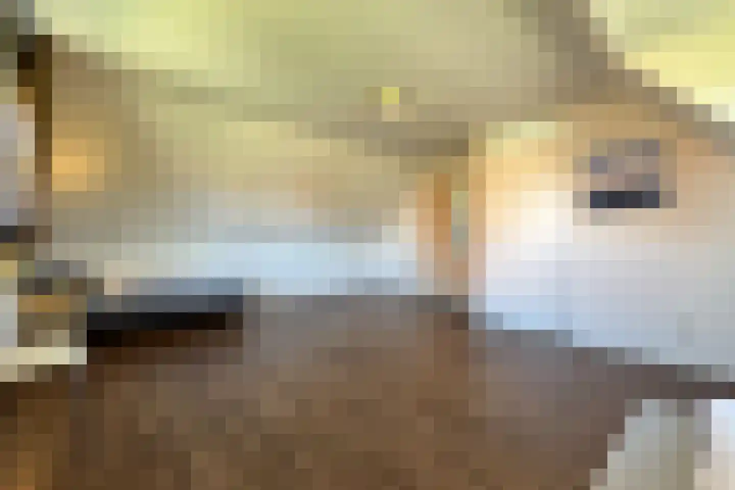 Hierdense beek 18 Biddinghuizen thumbnail 15