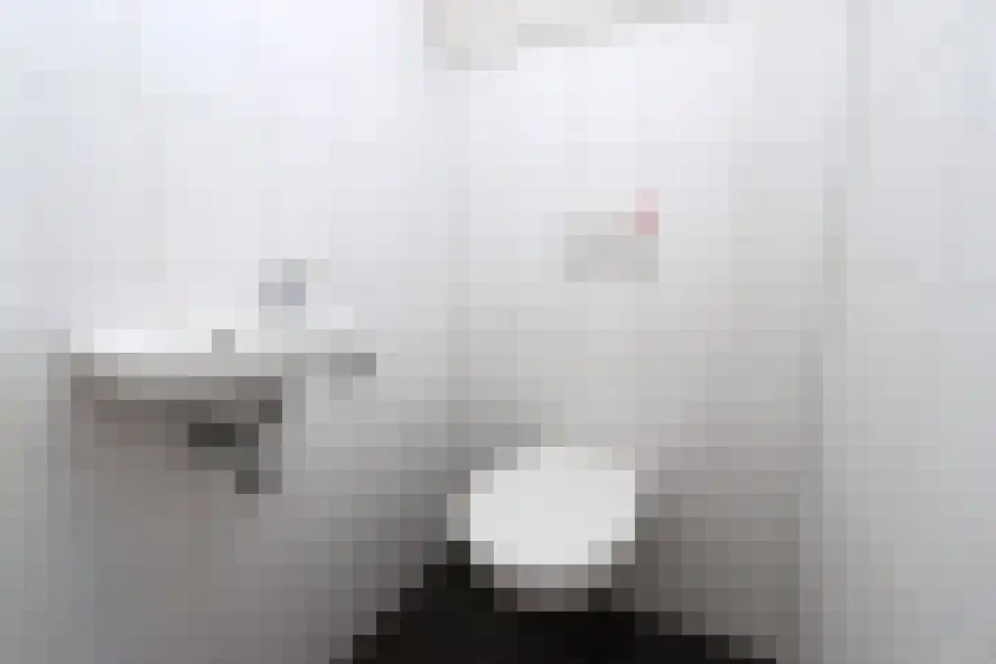 Hierdense beek 18 Biddinghuizen thumbnail 17