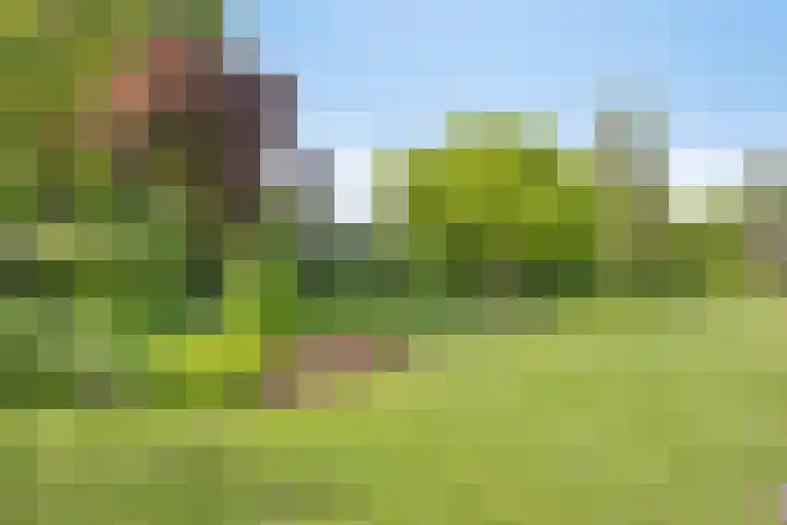 Hierdense beek 19 Biddinghuizen thumbnail 14