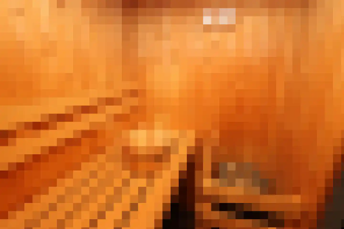 Hierdense beek 19 Biddinghuizen thumbnail 14