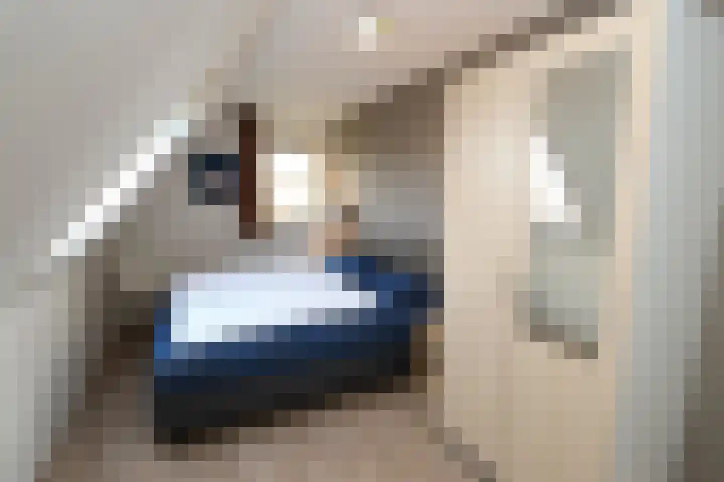 Hierdense beek 19 Biddinghuizen thumbnail 16