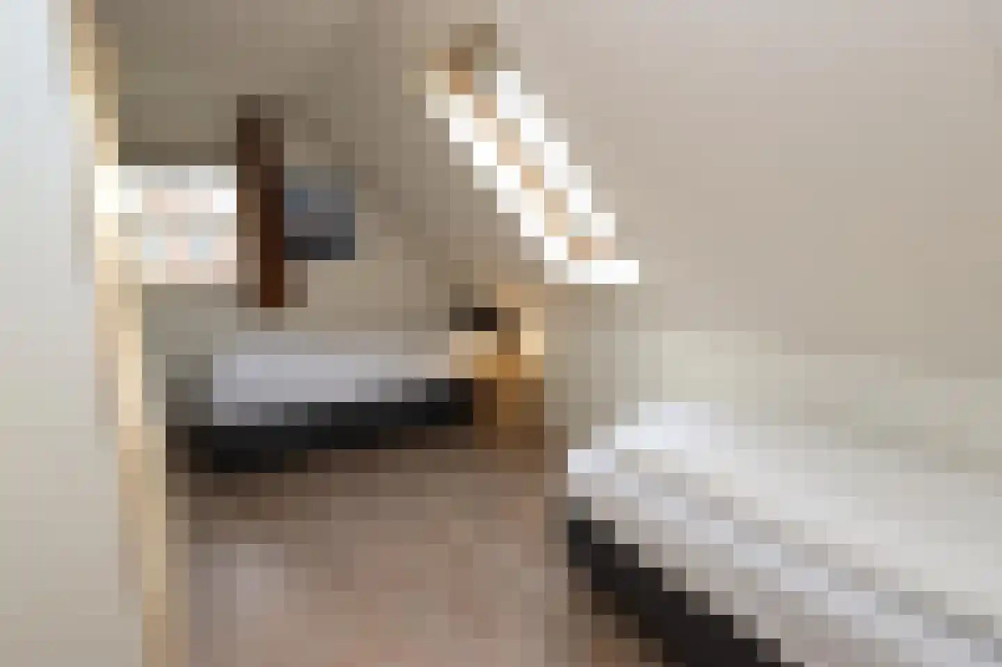 Hierdense beek 19 Biddinghuizen thumbnail 18