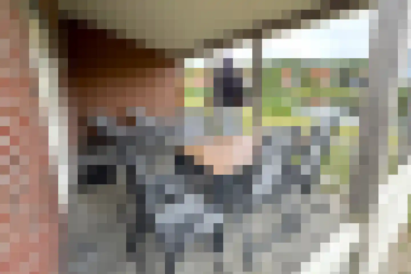 Hierdense beek 19 Biddinghuizen thumbnail 4