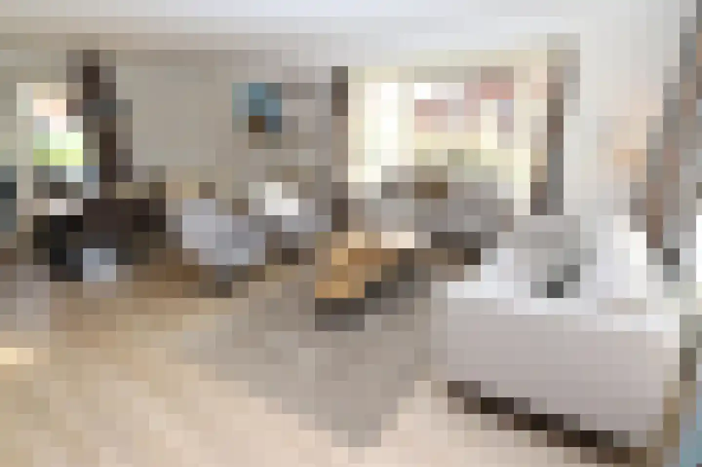Hierdense beek 19 Biddinghuizen thumbnail 7