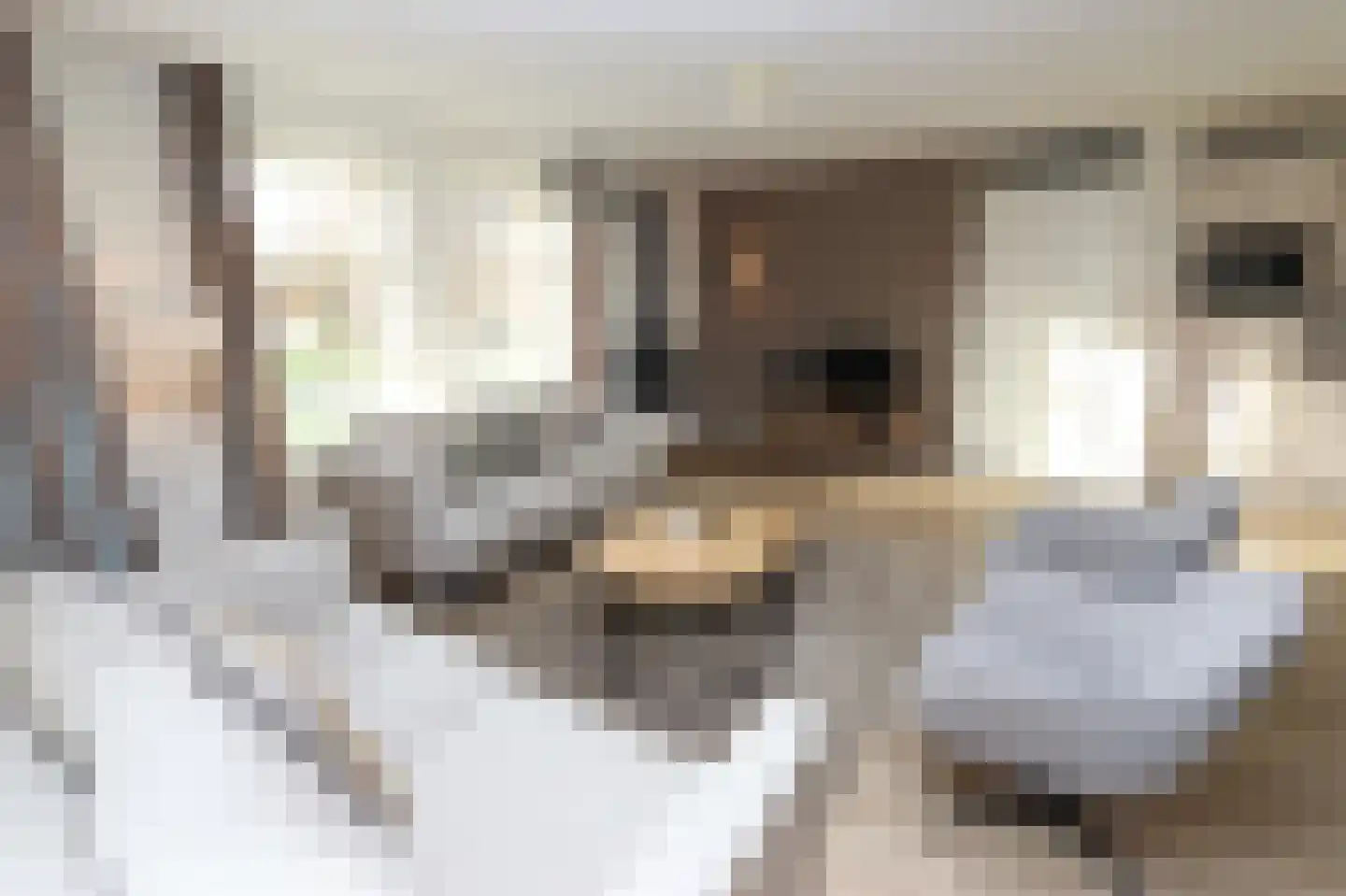 Hierdense beek 19 Biddinghuizen thumbnail 8