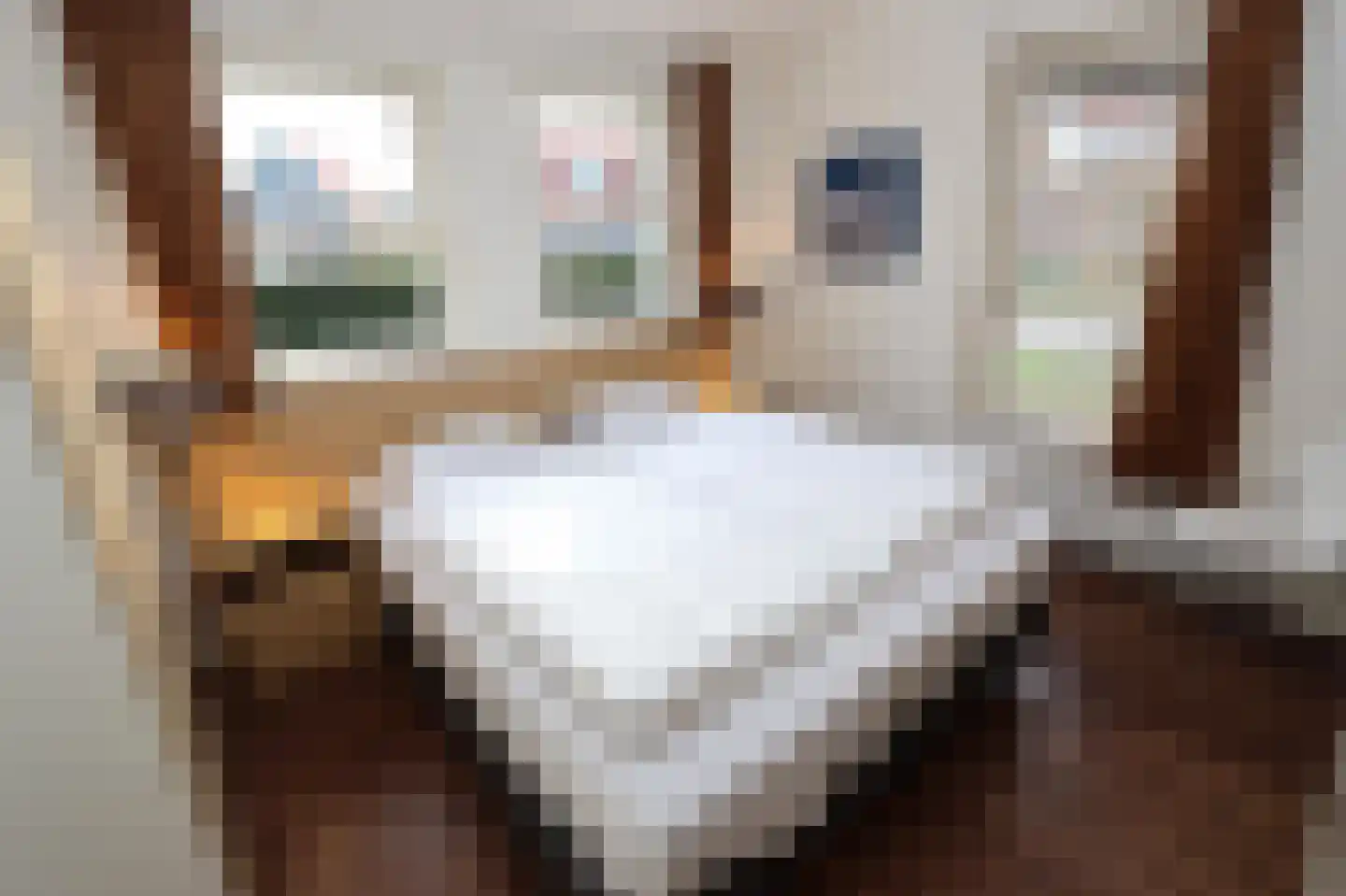 Hierdense beek 23 Biddinghuizen thumbnail 13