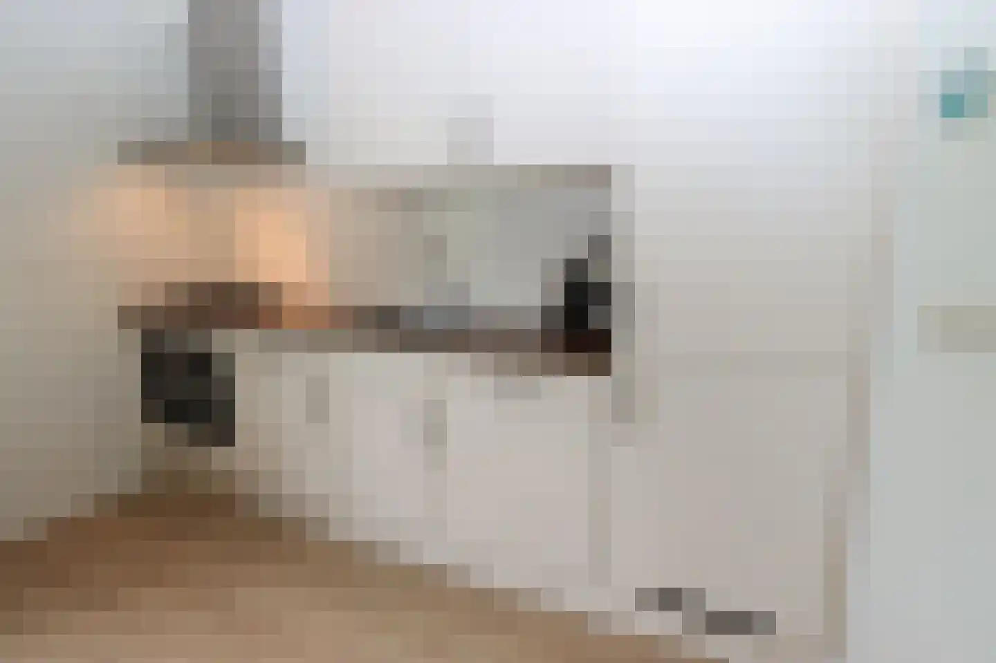 Hierdense beek 46 Biddinghuizen thumbnail 11