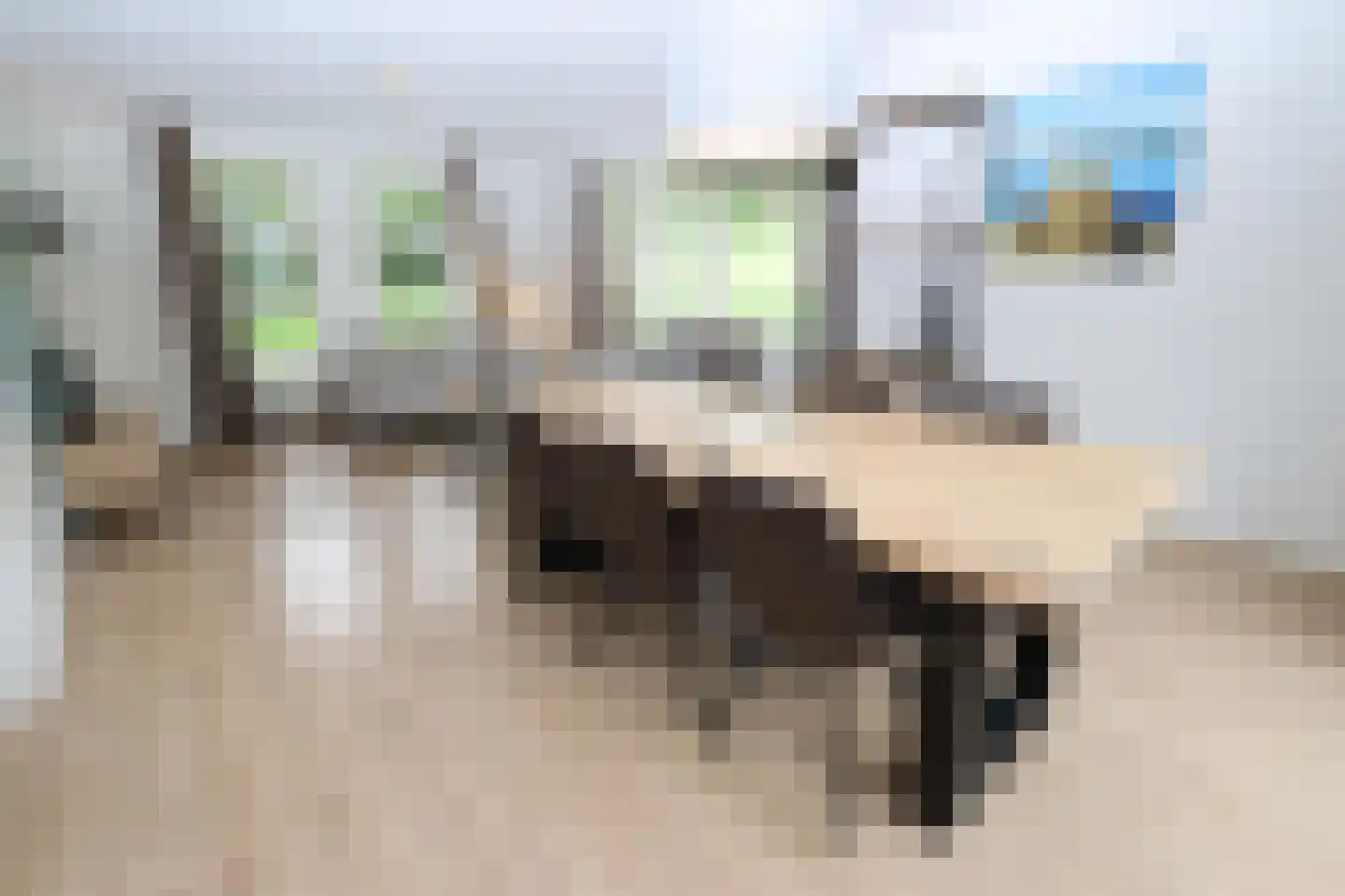 Hierdense beek 46 Biddinghuizen thumbnail 8