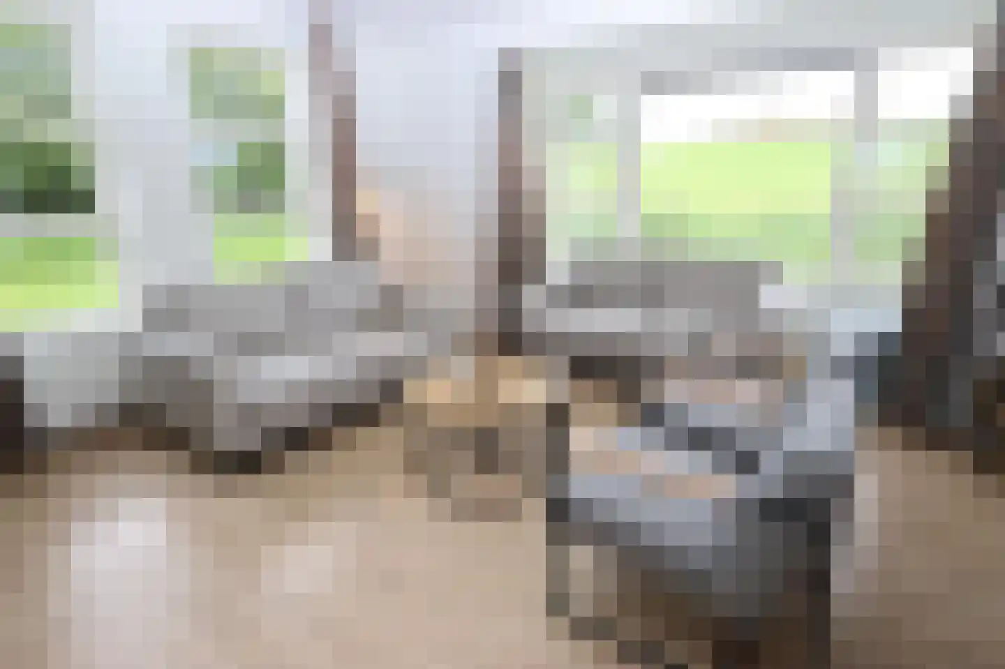 Hierdense beek 46 Biddinghuizen thumbnail 9