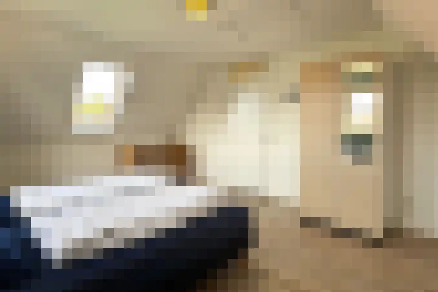 Hierdense beek 47 Biddinghuizen thumbnail 14
