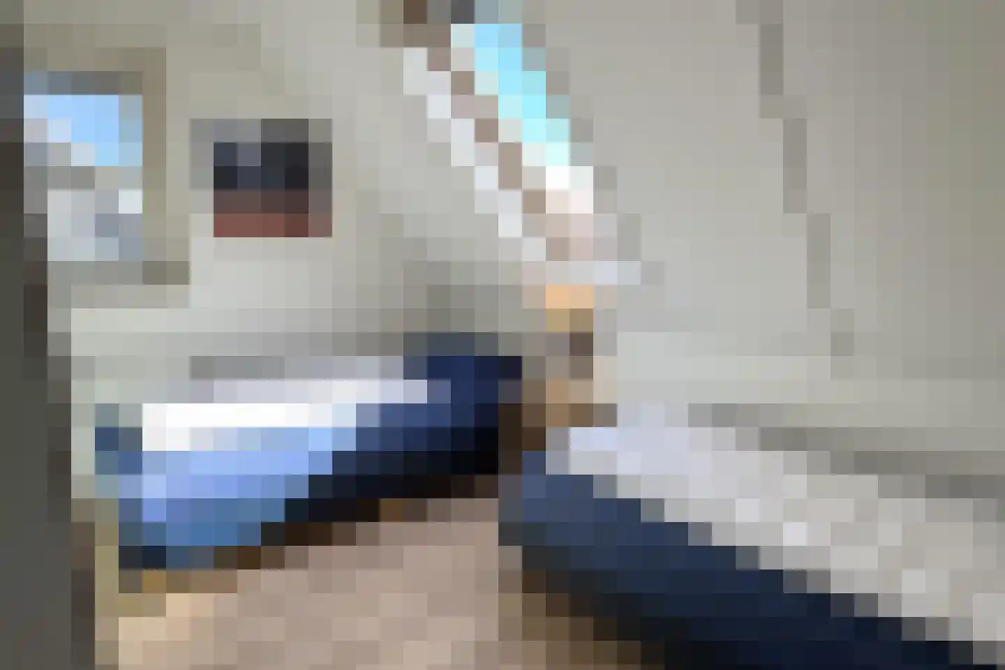 Hierdense beek 47 Biddinghuizen thumbnail 15