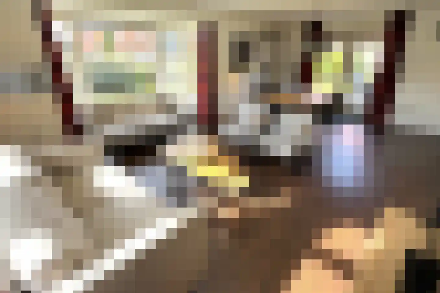 Hierdense beek 47 Biddinghuizen thumbnail 6