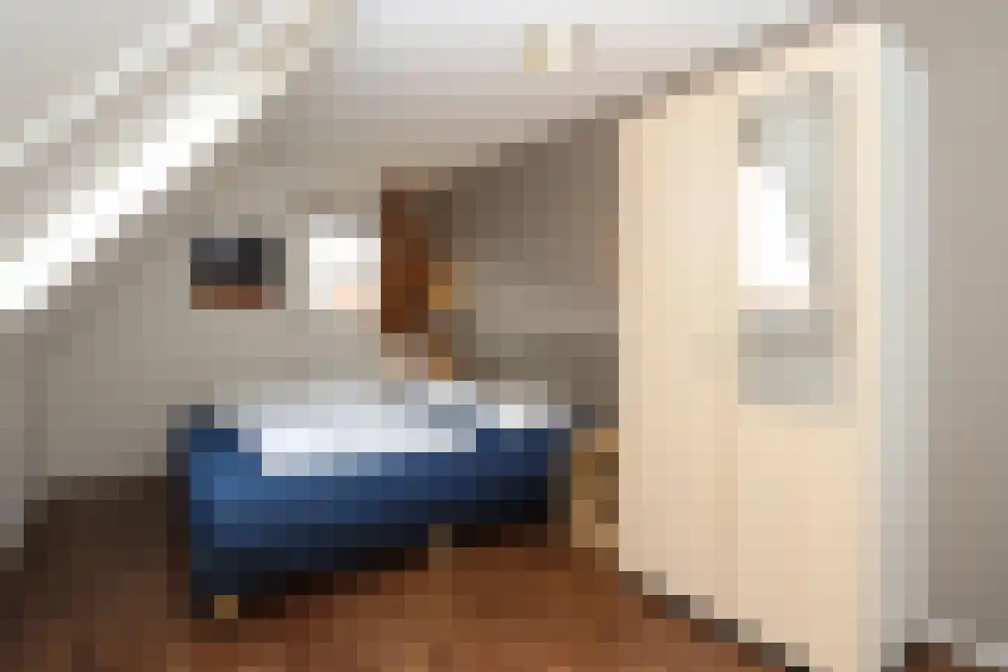 Hierdense beek 53 Biddinghuizen thumbnail 15