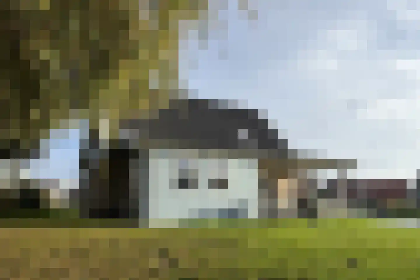 Hierdense beek 53 Biddinghuizen thumbnail 4