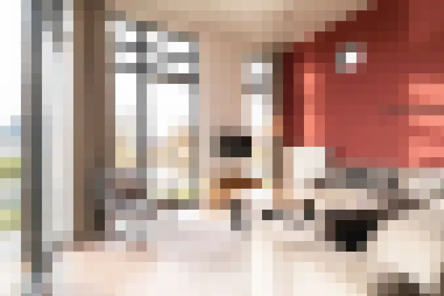 Hierdense beek 87 Biddinghuizen thumbnail 11
