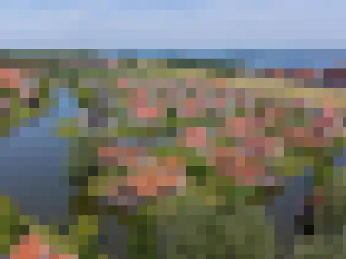 Hierdense beek 87 Biddinghuizen thumbnail 25