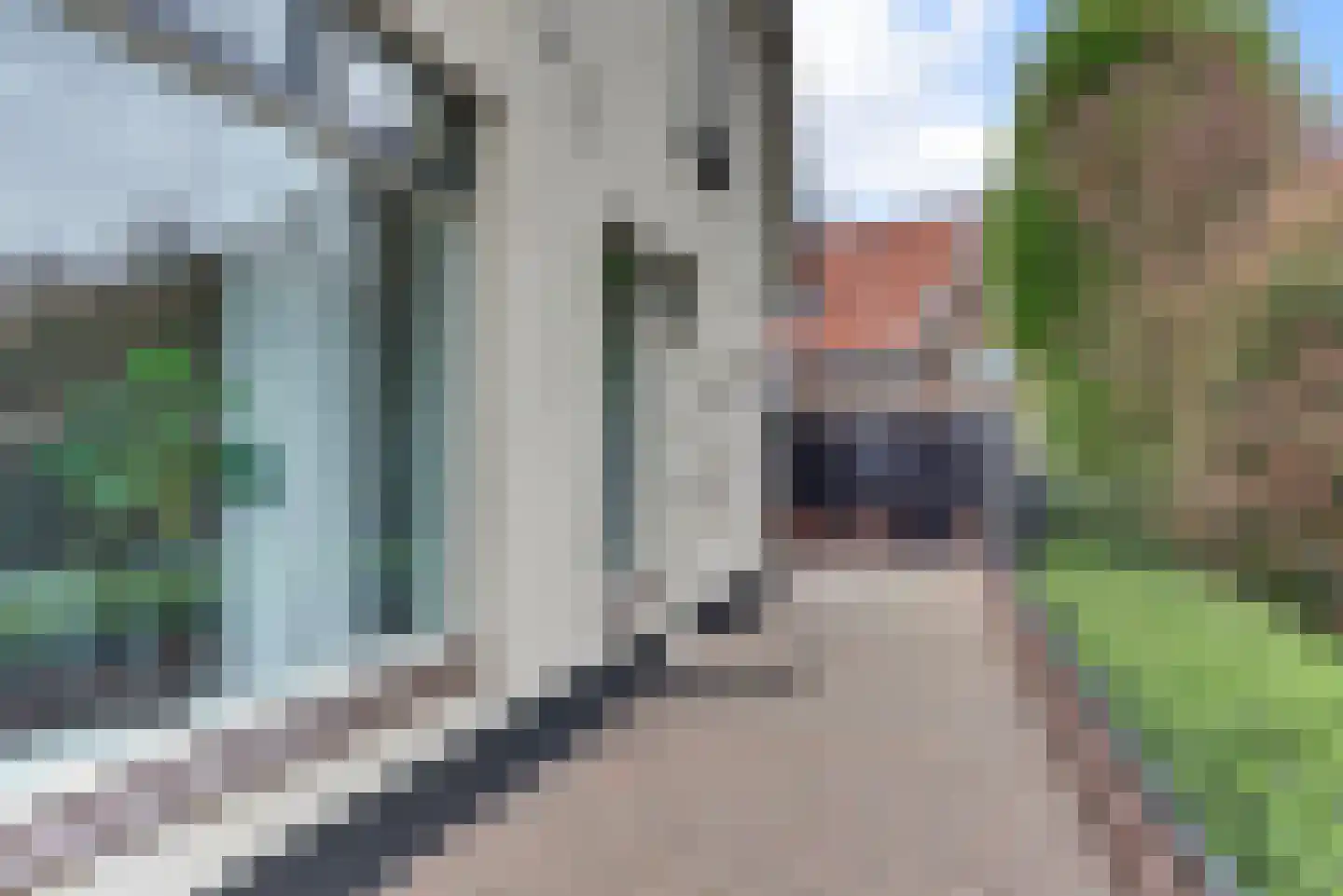 Hierdenseweg 35 Harderwijk thumbnail 42