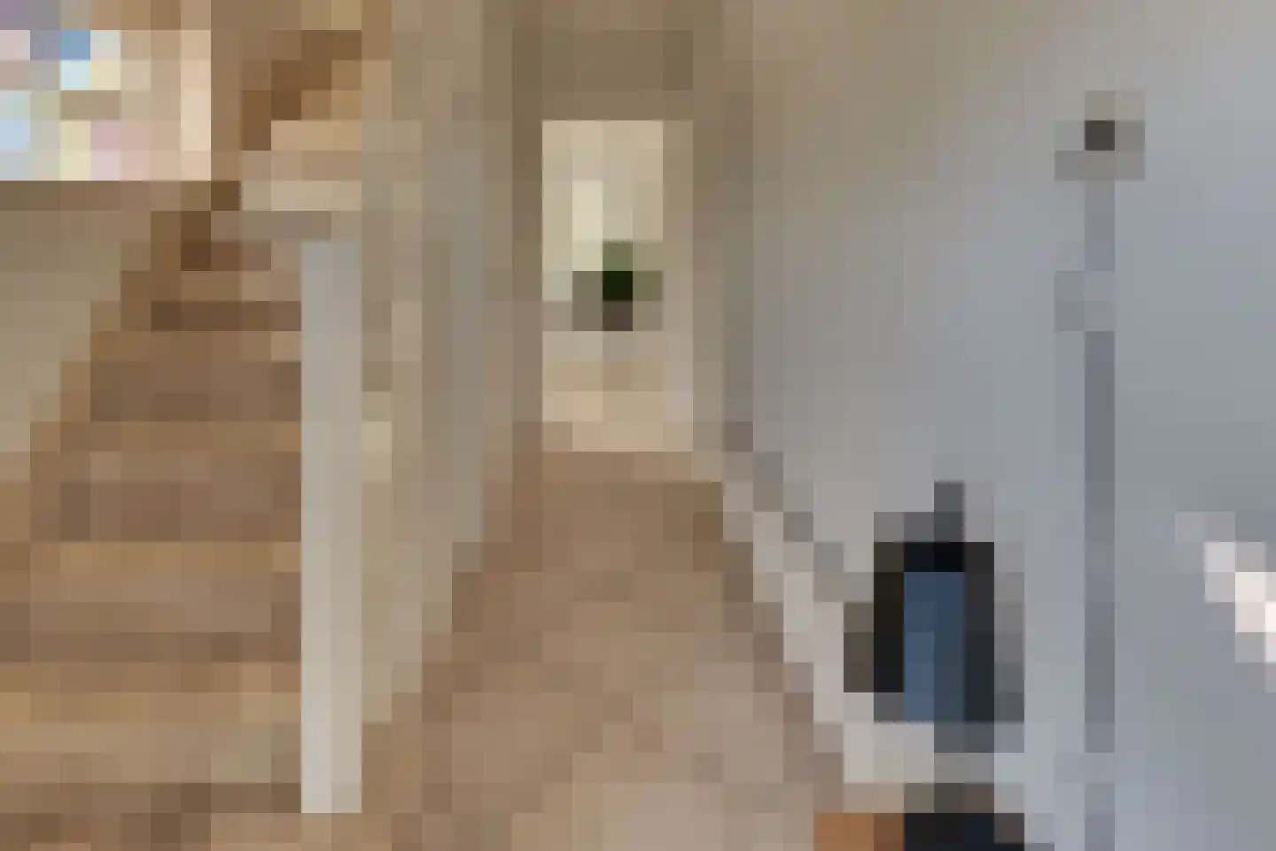 Hierdenseweg 44 Harderwijk thumbnail 7