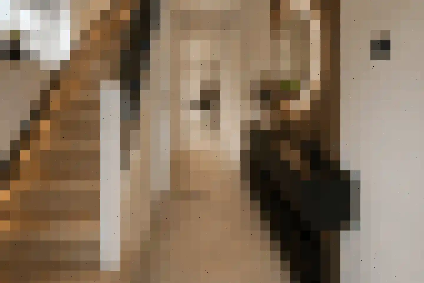 Hierdenseweg 44 Harderwijk thumbnail 8