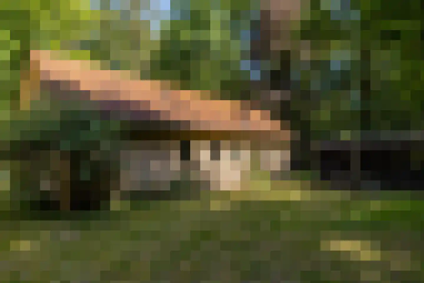 Hierderweg 19 Hulshorst thumbnail 10