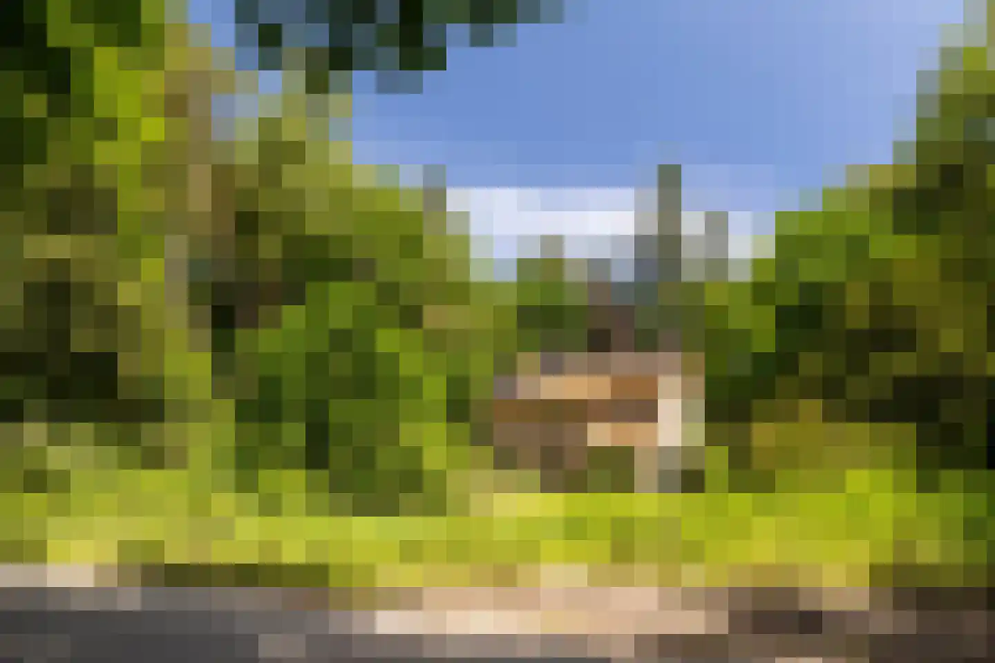 Hierderweg 19 Hulshorst thumbnail 13