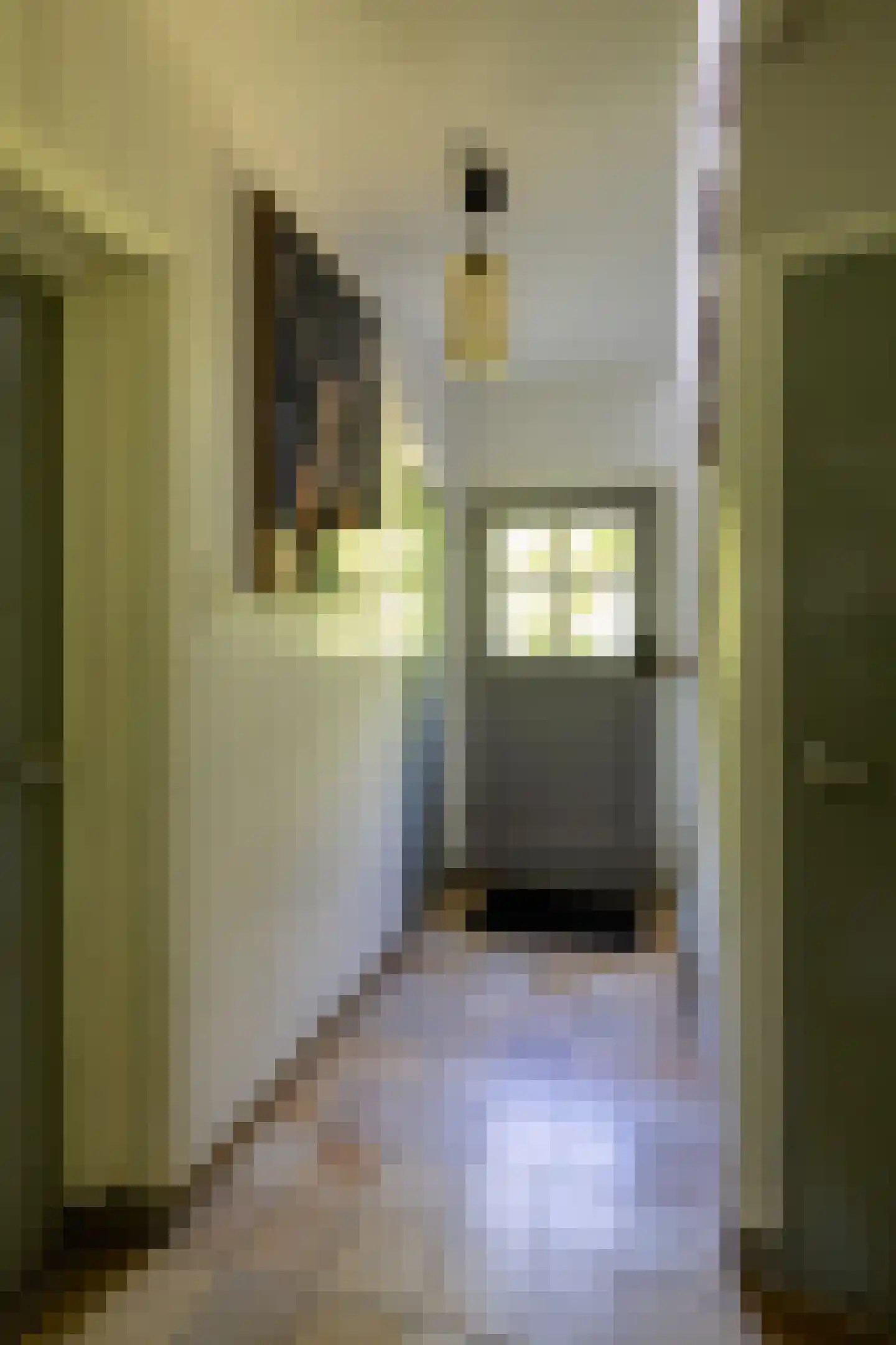 Hierderweg 19 Hulshorst thumbnail 26