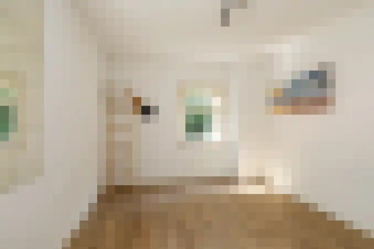 Hierderweg 19 Hulshorst thumbnail 29
