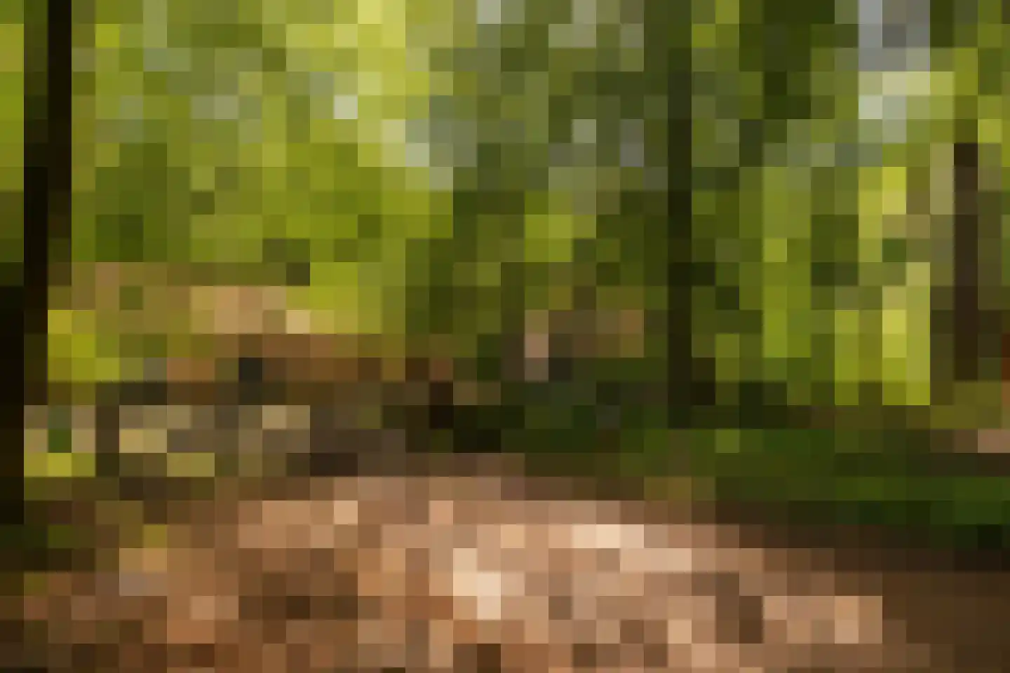 Hierderweg 19 Hulshorst thumbnail 4