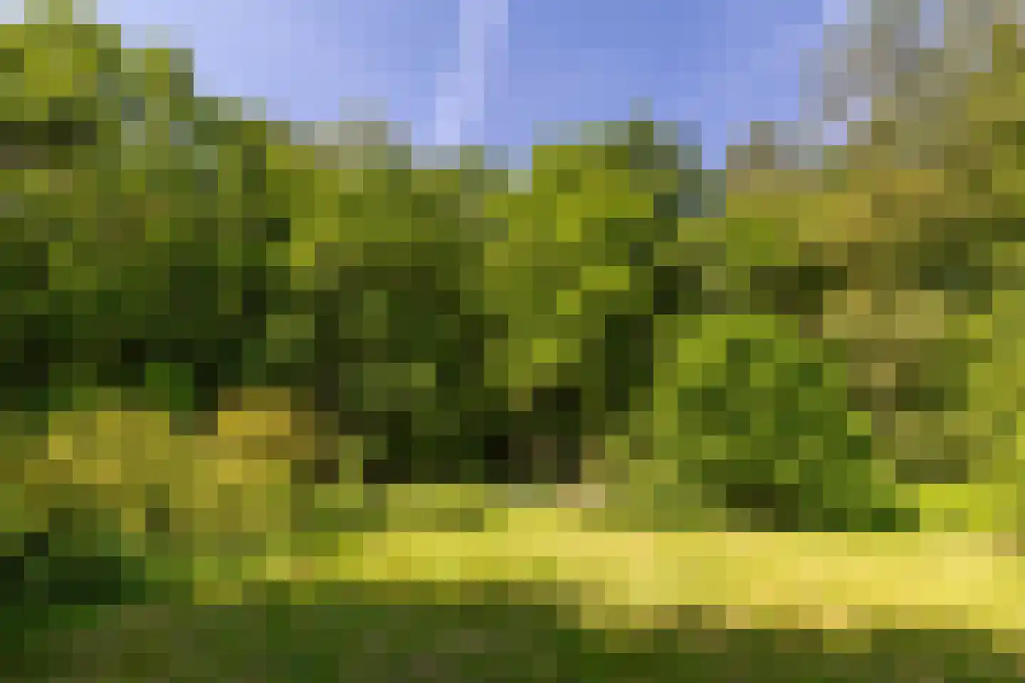 Hierderweg 19 Hulshorst thumbnail 40