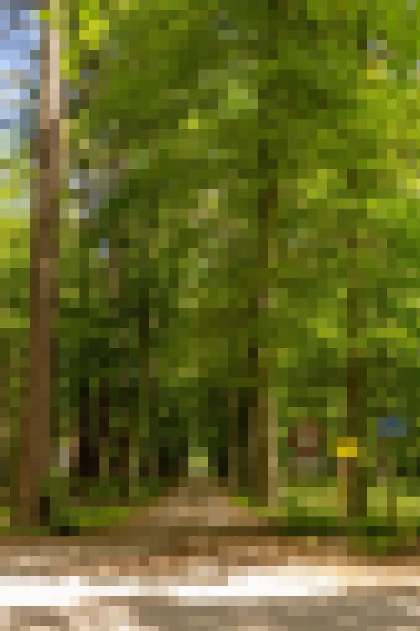 Hierderweg 19 Hulshorst thumbnail 41