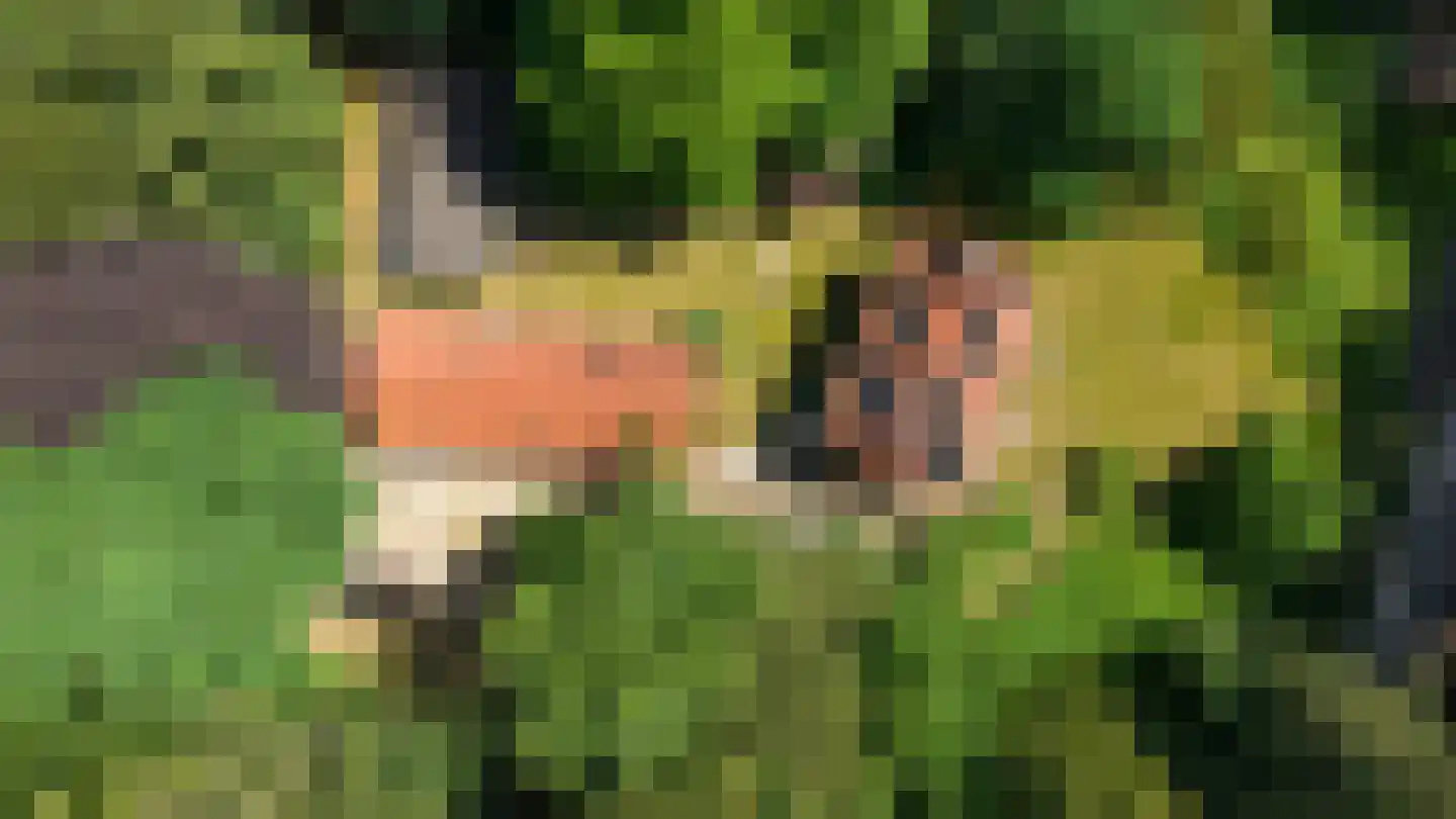 Hierderweg 19 Hulshorst thumbnail 5