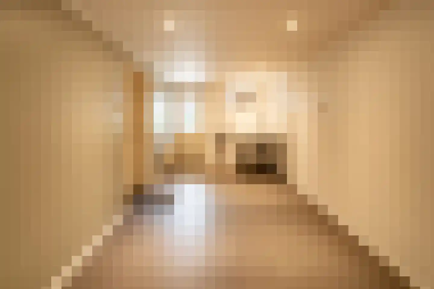 Hiernstraat 13 Waardenburg thumbnail 22