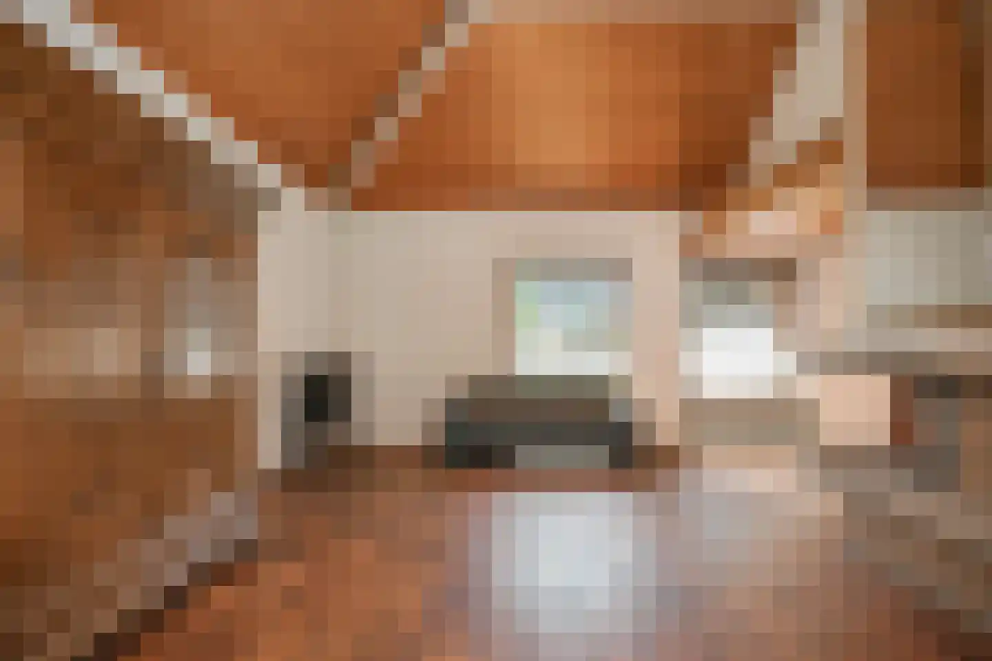 Hiernstraat 4 Waardenburg thumbnail 10