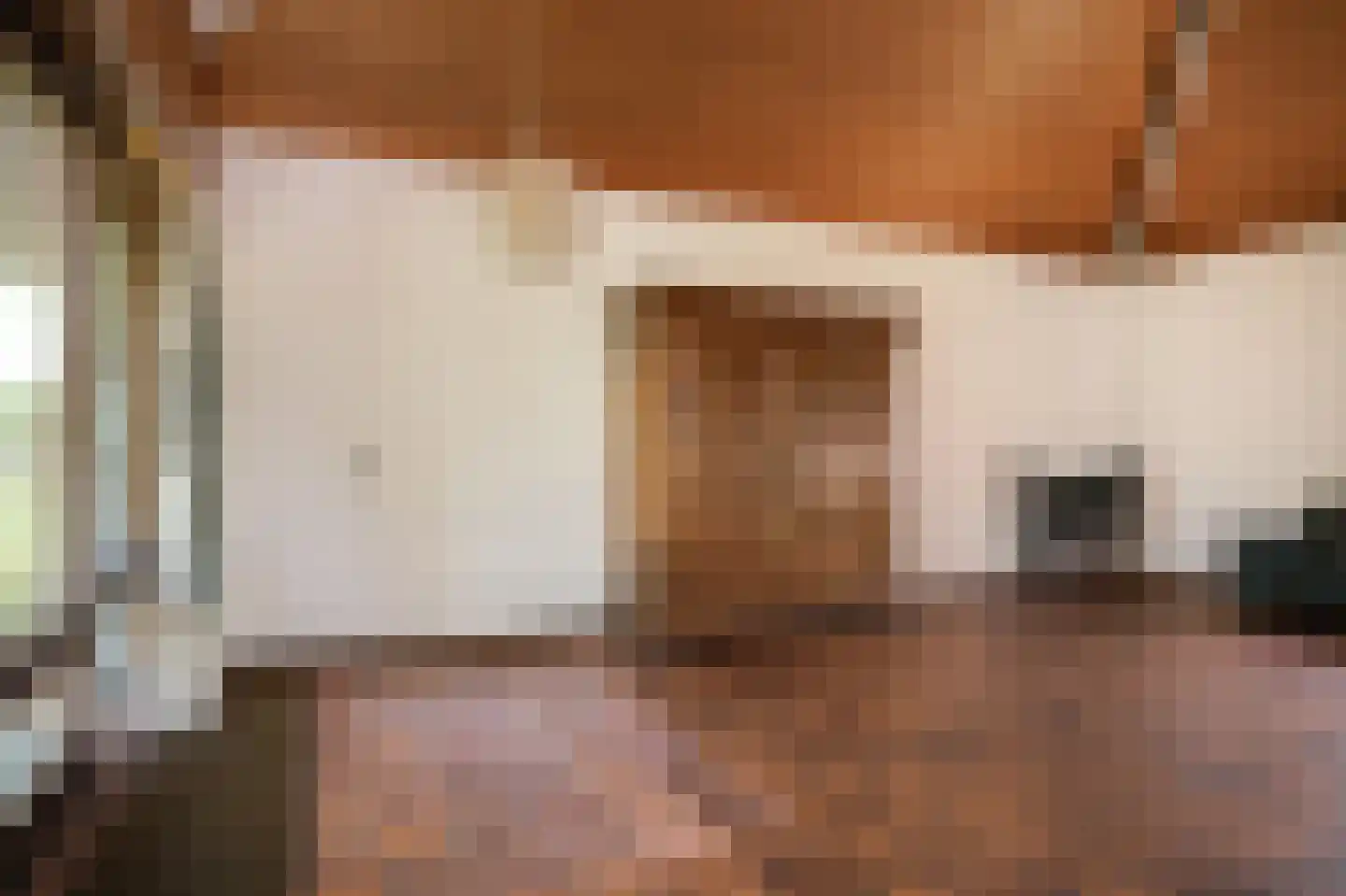 Hiernstraat 4 Waardenburg thumbnail 19