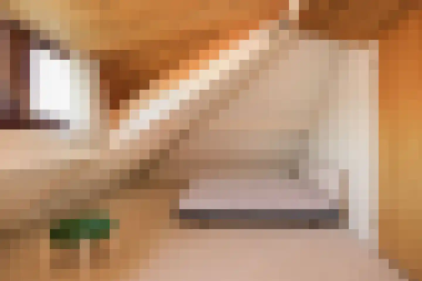 Hiernstraat 4 Waardenburg thumbnail 33