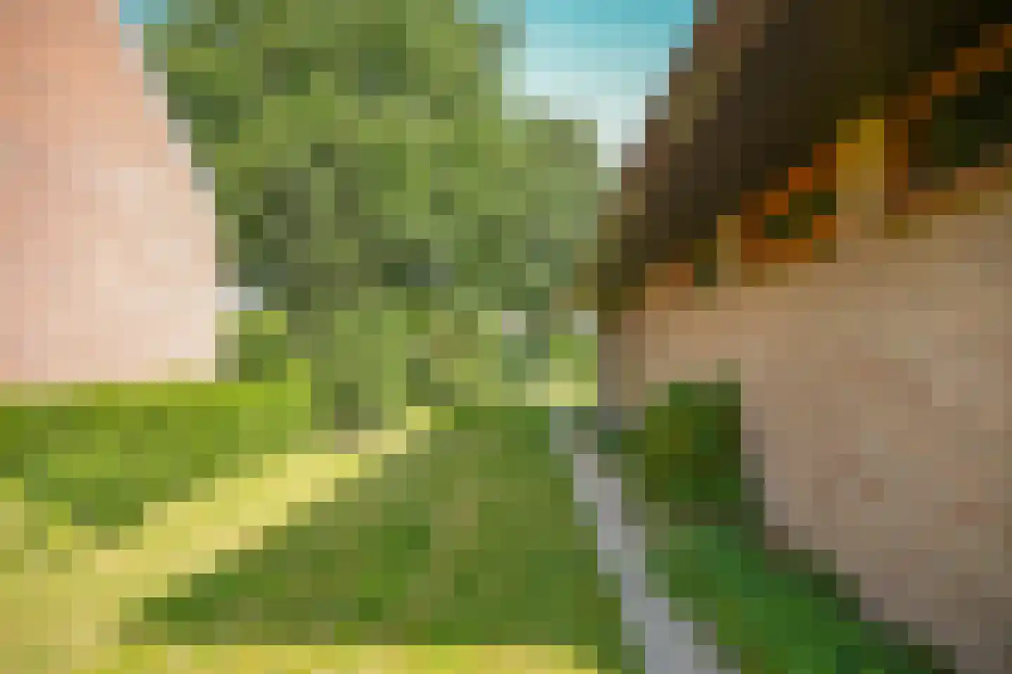 Hiernstraat 4 Waardenburg thumbnail 47