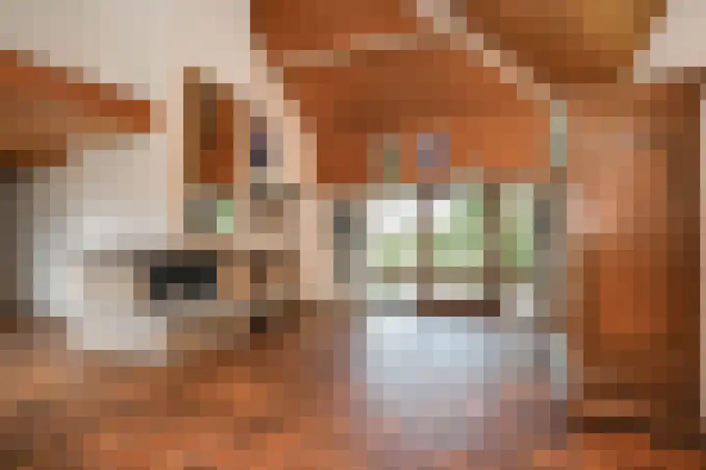 Hiernstraat 4 Waardenburg thumbnail 7