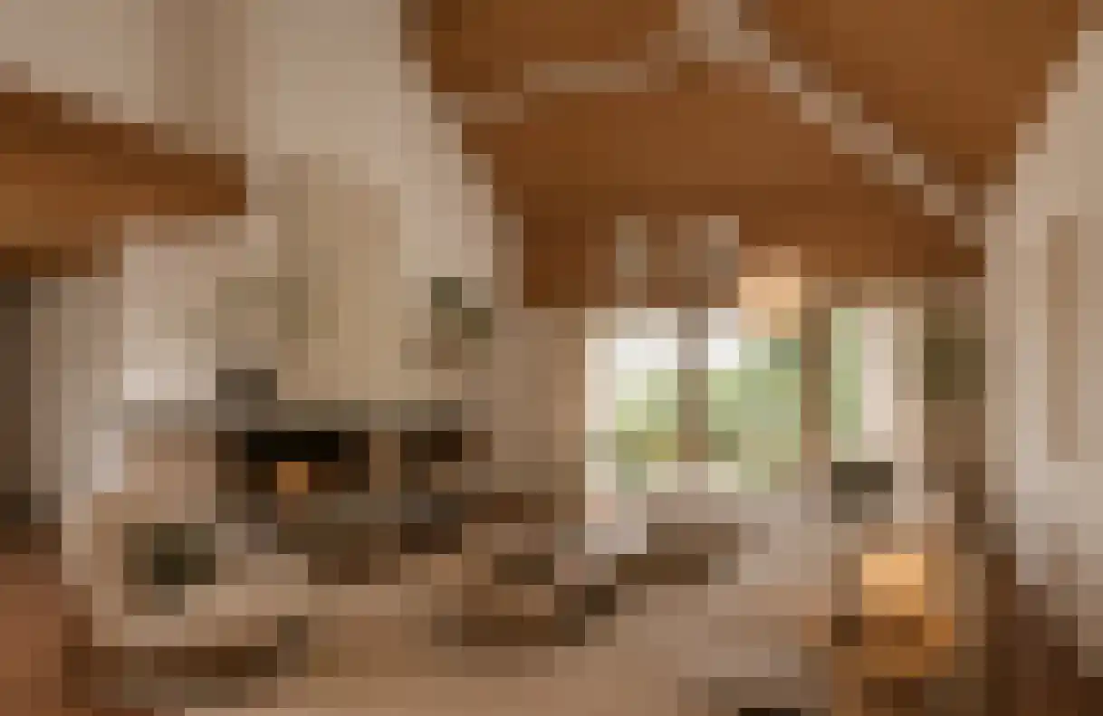 Hiernstraat 4 Waardenburg thumbnail 8