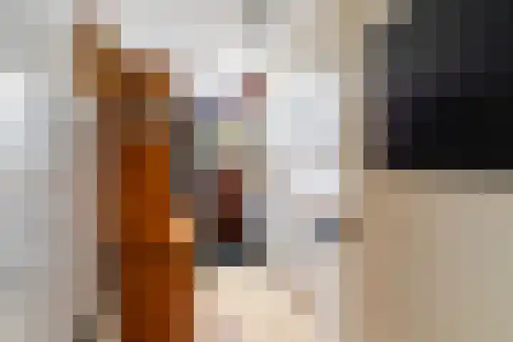 Hieronymus Boschpad 4 Spijkenisse thumbnail 13