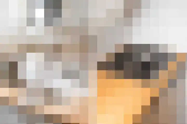 Hieronymus Boschpad 4 Spijkenisse thumbnail 14